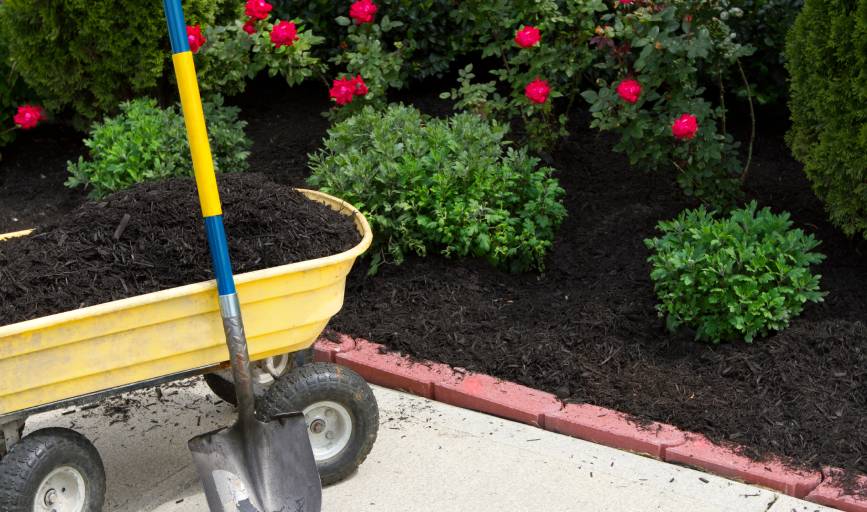 Mulching